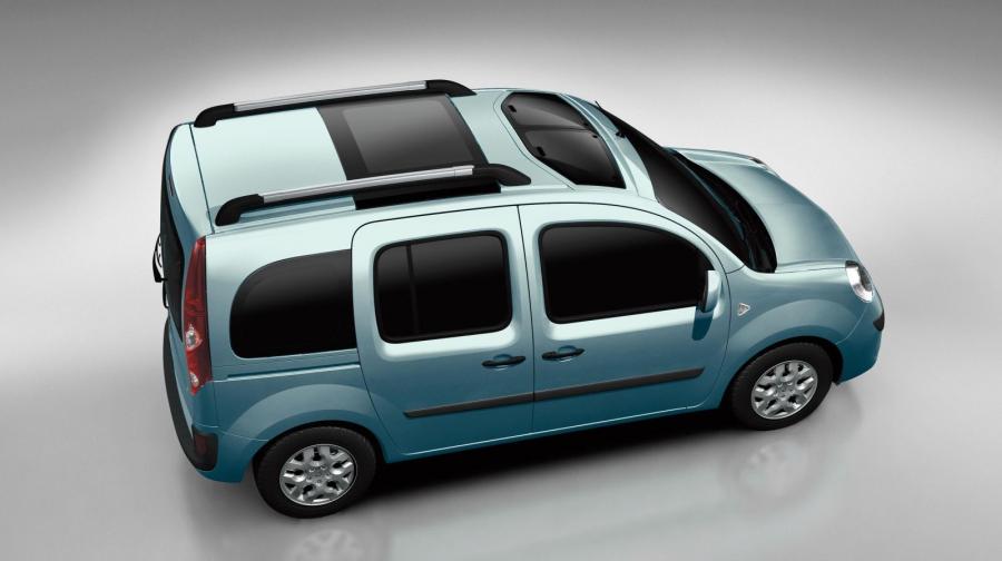  Renault Kangoo 2008 года  (фото 58 из 59)